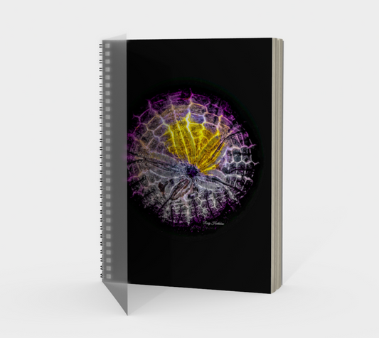 Front of spiral notebook.