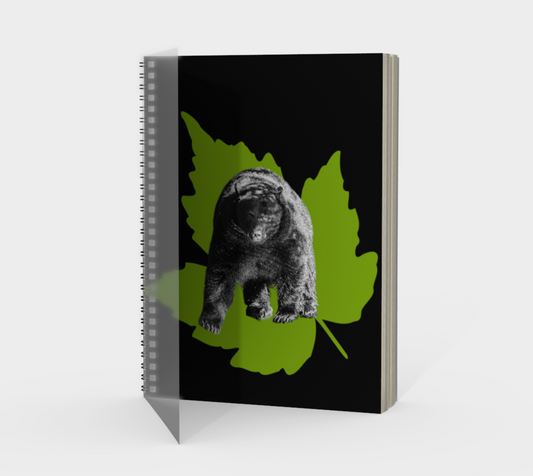 Front cover of spiral notebook Observant Bear.