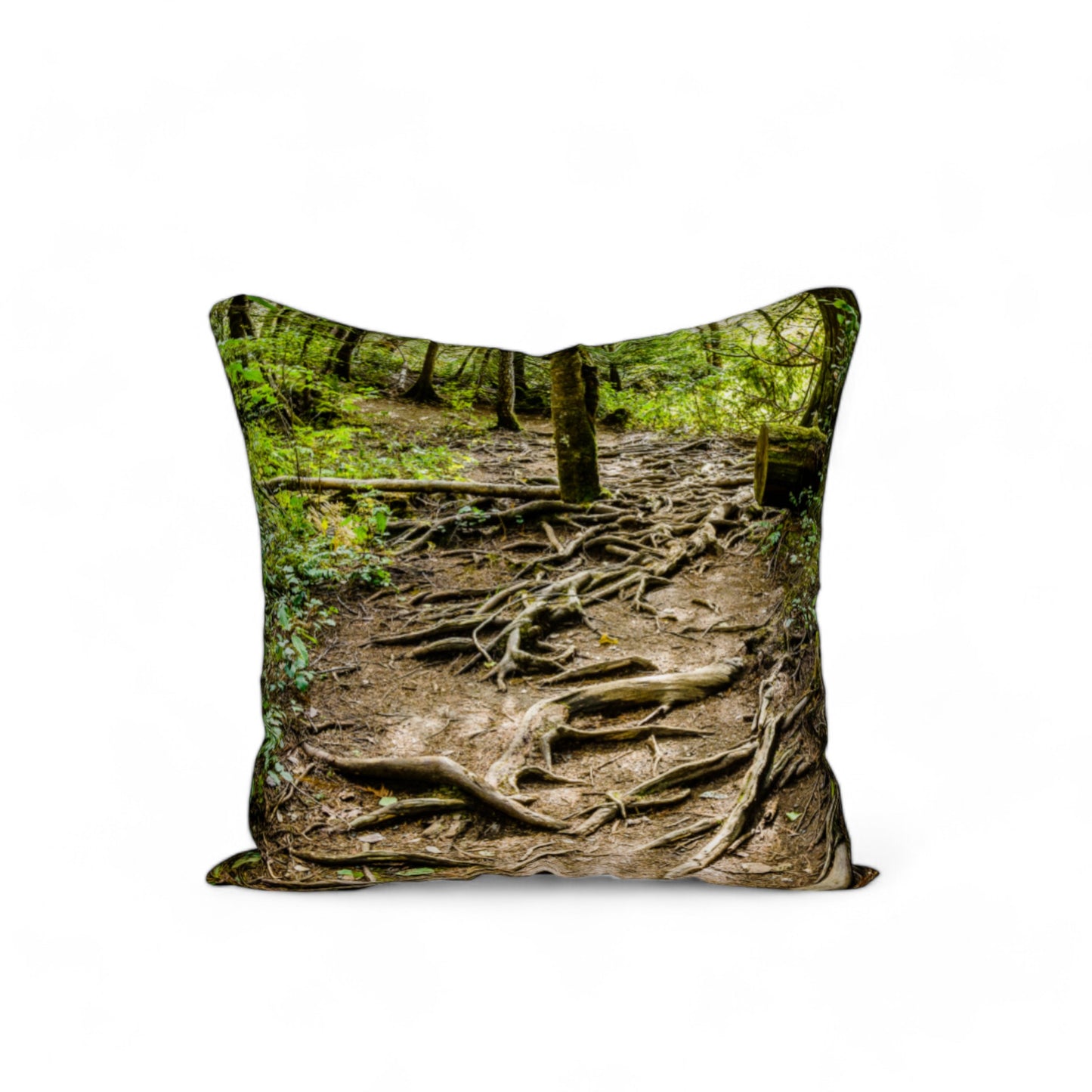 Nymph Falls Trail 18"x18" Throw Pillow Cover