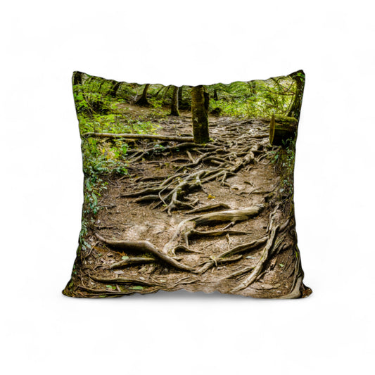 Nymph Falls Trail 22"x22" Throw Pillow Cover