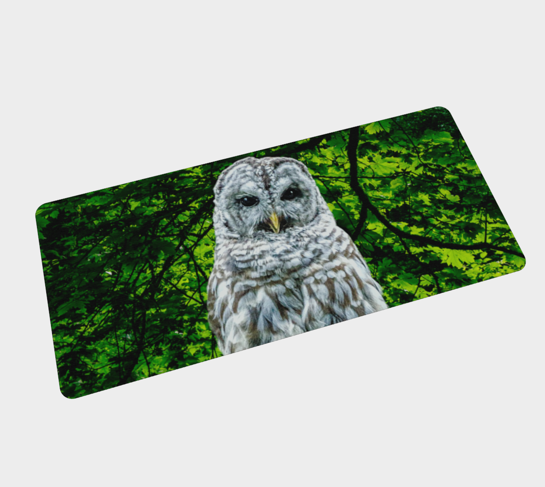 Wise Owl Large Desk Mat